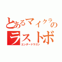 とあるマイクラのラストボス（エンダードラゴン）