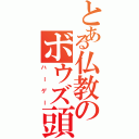 とある仏教のボウズ頭Ⅱ（ハーゲー）