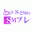 とあるＳとＭのＳＭプレイ（）