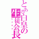 とある白皇の生徒会長（ヒナギク）