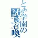 とある学園の試験召喚（サモン）