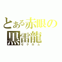 とある赤眼の黒雷龍（ゼクロム）