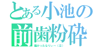 とある小池の前歯粉砕（痛かったなりぃ～（泣））