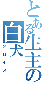 とある生主の白犬（シロイヌ）