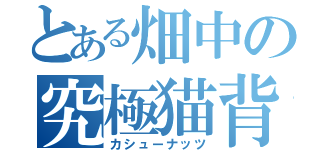 とある畑中の究極猫背（カシューナッツ）