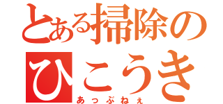 とある掃除のひこうき（あっぶねぇ）