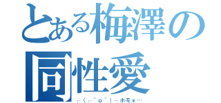 とある梅澤の同性愛（┌（┌＾ｏ＾）┐ホモォ…）