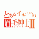 とあるイギリスの眉毛紳士Ⅱ（カッコイイ）