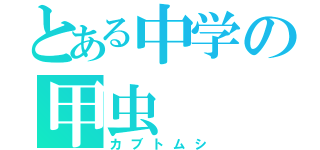 とある中学の甲虫（カブトムシ）