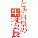 とある白皇の生徒会長（ヒナギク）