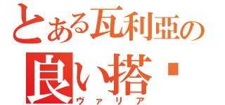 とある瓦利亞の良い搭檔（ヴァリア）