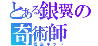 とある銀翼の奇術師（怪盗キッド）