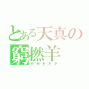 とある天真の窮撚羊（ＳＨＥＥＰ）