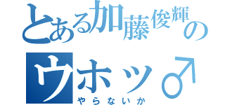 とある加藤俊輝のウホッ♂（やらないか）