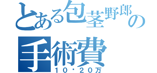 とある包茎野郎の手術費（１０〜２０万）