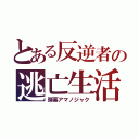 とある反逆者の逃亡生活（弾幕アマノジャク）