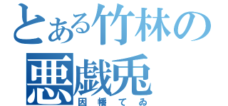 とある竹林の悪戯兎（因幡てゐ）