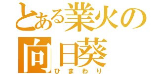 とある業火の向日葵（ひまわり）