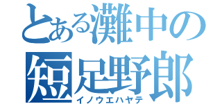 とある灘中の短足野郎（イノウエハヤテ）