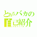 とあるバカの自己紹介（プロフィール）