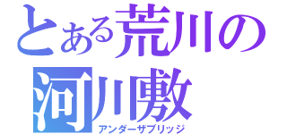 とある荒川の河川敷（アンダーザブリッジ）