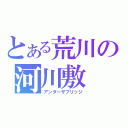 とある荒川の河川敷（アンダーザブリッジ）