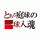 とある庭球の一球入魂（）