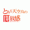 とある天空鳥の開放感（カイホウカン）