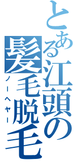 とある江頭の髪毛脱毛（ノーヘヤー）