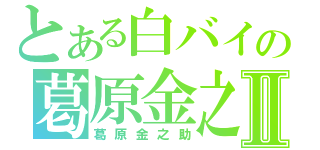 とある白バイの葛原金之助Ⅱ（葛原金之助）