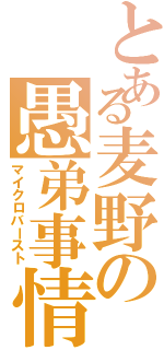 とある麦野の愚弟事情（マイクロバースト）