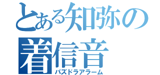 とある知弥の着信音（パズドラアラーム）