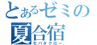 とあるゼミの夏合宿（セパタクロー）