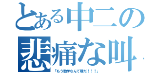 とある中二の悲痛な叫び（「もう数学なんて嫌だ！！！」）