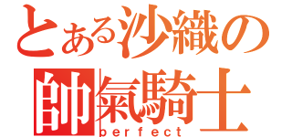 とある沙織の帥氣騎士（ｐｅｒｆｅｃｔ）