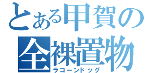 とある甲賀の全裸置物（ラコーンドッグ）