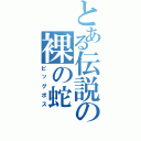 とある伝説の裸の蛇（ビッグボス）