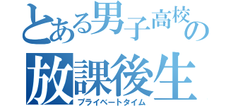 とある男子高校生の放課後生活（プライベートタイム）