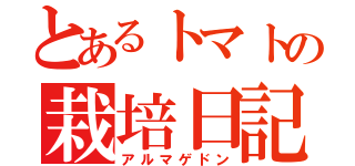 とあるトマトの栽培日記（アルマゲドン）