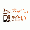 とある犬がケツの嗅ぎ合い（＊）