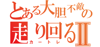 とある大胆不敵の走り回るⅡ（カートレ）