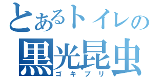 とあるトイレの黒光昆虫（ゴキブリ）