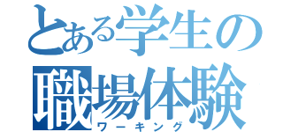 とある学生の職場体験（ワーキング）