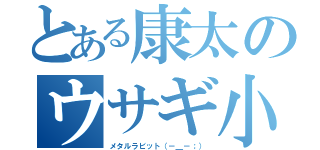 とある康太のウサギ小屋（メタルラビット（－＿－；））