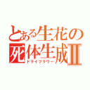 とある生花の死体生成Ⅱ（ドライフラワー）