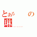 とある楊の琳（ｆｏｒｅｖｅｒ）