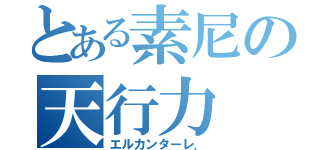 とある素尼の天行力（エルカンターレ．）