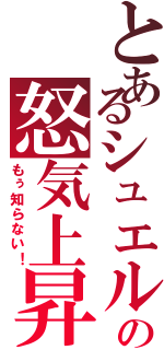 とあるシュエルの怒気上昇（もぅ知らない！）