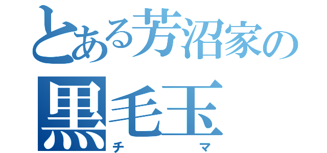 とある芳沼家の黒毛玉（チマ）