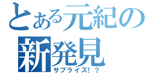 とある元紀の新発見（サプライズ！？）